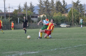 FOCUS 15° GIORNATA C.11 E PROGRAMMAZIONE 16° GIORNATA